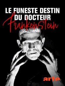 Arte - Le funeste destin du Docteur Frankenstein