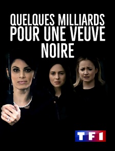 TF1 - Quelques milliards pour une veuve noire