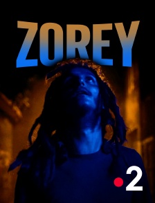 France 2 - Zorey