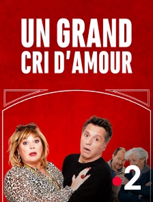 France 2 - Un grand cri d'amour