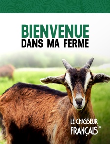 Le Chasseur Français - Bienvenue dans ma ferme