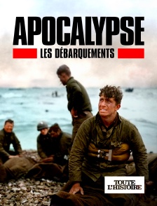 Toute l'Histoire - Apocalypse : Les débarquements en replay