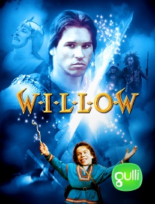 Gulli - Willow