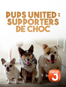 Canal J - Pups United : supporters de choc