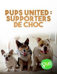 Gulli - Pups United : supporters de choc