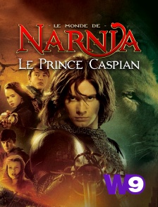 W9 - Le monde de Narnia, chapitre 2 : le prince Caspian