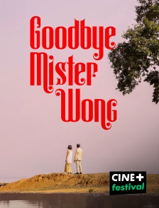 CINE+ Festival - Goodbye Mister Wong