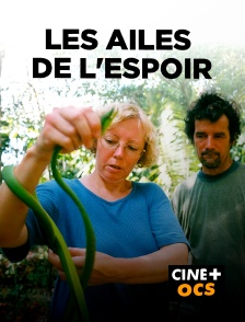 CINÉ Cinéma - Les ailes de l'espoir