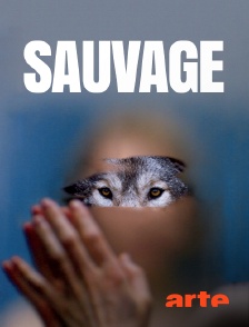 Arte - Sauvage