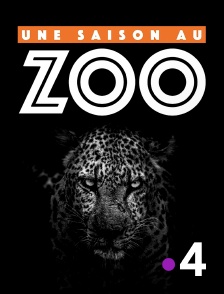 France 4 - Une saison au zoo