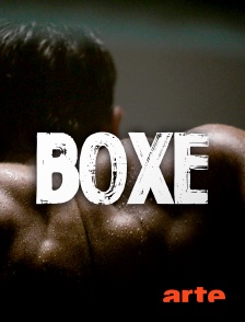 Arte - Boxe