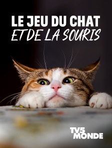 TV5MONDE - Le jeu du chat et de la souris