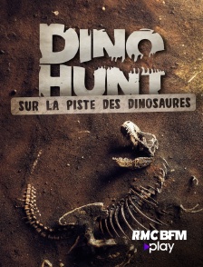 RMC BFM Play - Sur la piste des dinosaures