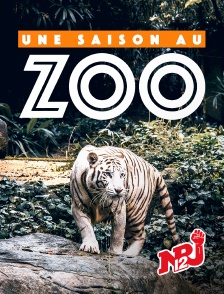 NRJ 12 - Une saison au zoo