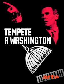 Arte - Tempête à Washington