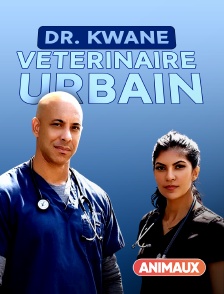 Animaux - Dr. Kwane, vétérinaire urbain