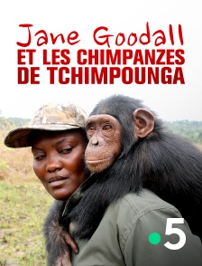 France 5 - Jane Goodall et les chimpanzés de Tchimpounga