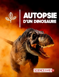 Science et Vie TV - Autopsie d'un dinosaure