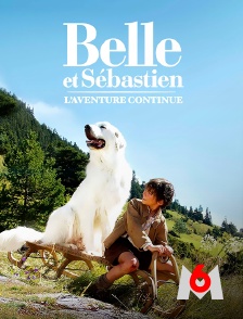 M6 - Belle et Sébastien : L'aventure continue