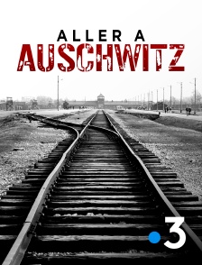 France 3 - Aller à Auschwitz