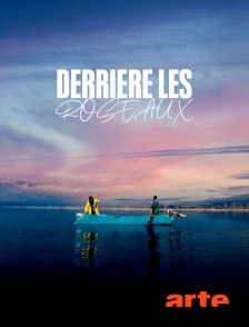 Arte - Derrière les roseaux