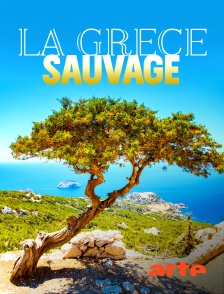 Arte - La Grèce sauvage