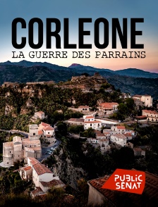 Public Sénat - Corleone : la guerre des parrains