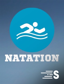 Sport en France - Natation - Coupe du monde