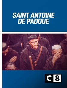 C8 - Antoine de Padoue, le saint de tout le monde