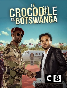 C8 - Le crocodile du Botswanga