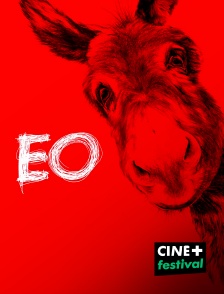 CINE+ Festival - Eo