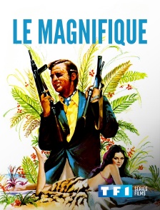 TF1 Séries Films - Le magnifique