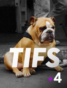 France 4 - Tifs