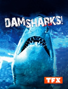 TFX - Dam Sharks