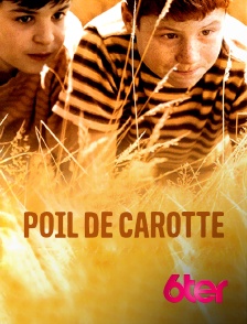 6ter - Poil de carotte