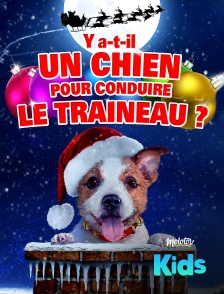 Molotov Channels Kids - Y a-t-il un chien pour conduire le traîneau ?