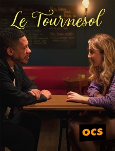 OCS - Le tournesol