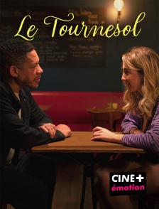 CINE+ Emotion - Le tournesol