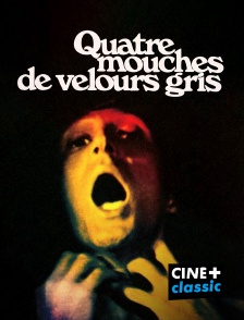 CINE+ Classic - Quatre mouches de velours gris