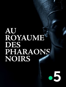 France 5 - Au royaume des pharaons noirs