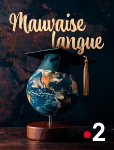 France 2 - Mauvaise langue