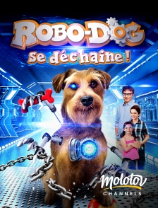 Molotov channels - Robo-dog se déchaine