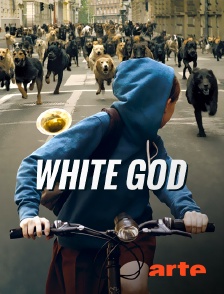 Arte - White God