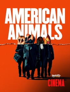 Molotov Channels Cinéma - American Animals