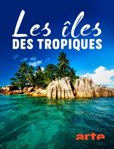 Arte - Les îles des tropiques