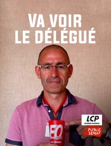 LCP Public Sénat - Va voir le délégué