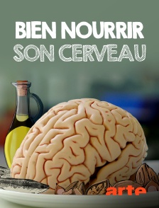 Arte - Bien nourrir son cerveau