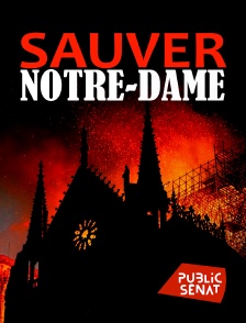 Public Sénat - Sauver Notre-Dame