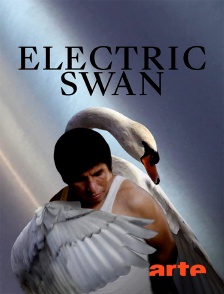 Arte - Electric Swan