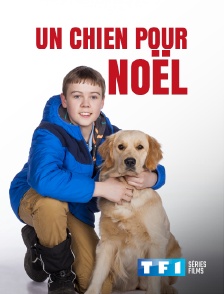 TF1 Séries Films - Un chien pour Noël